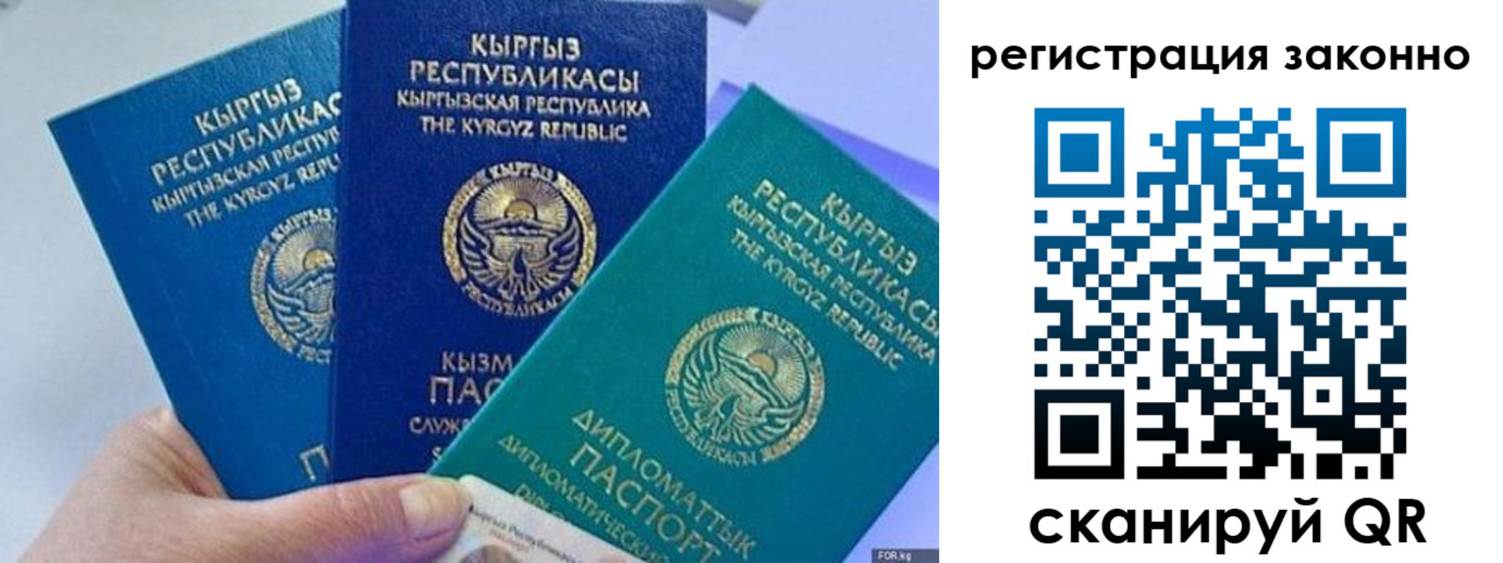 временная регистрация гарантия в Тимашёвске